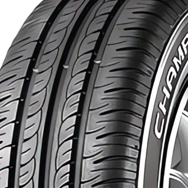 Gt radial Champiro Ecotec afbeelding