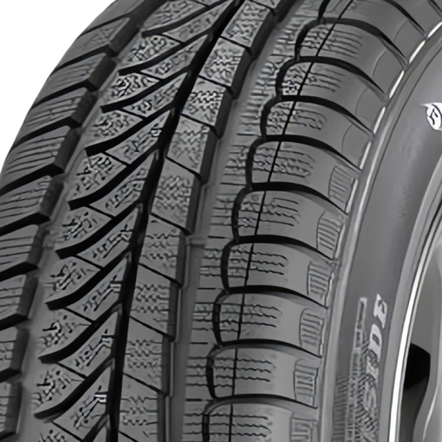 Dunlop SP Winter Response MS afbeelding
