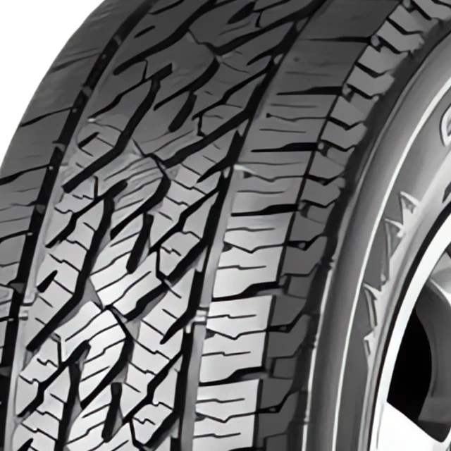 Lassa Competus A/T2 afbeelding
